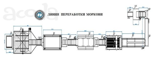 Поточная линия переработки, обрезки головок, резки моркови.