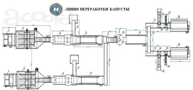 Линия комплексной переработки, удаления кочерыжки, шинковки капусты.
